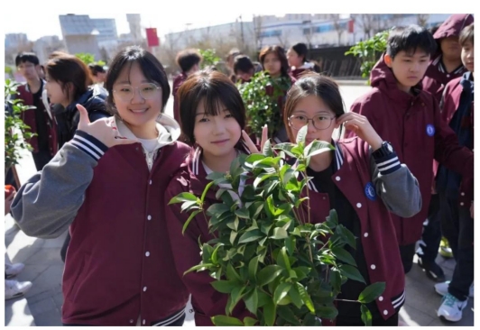 六力校园里的植树节---“生命哲学课”_ 向下扎根的力量，向上生长的光芒
